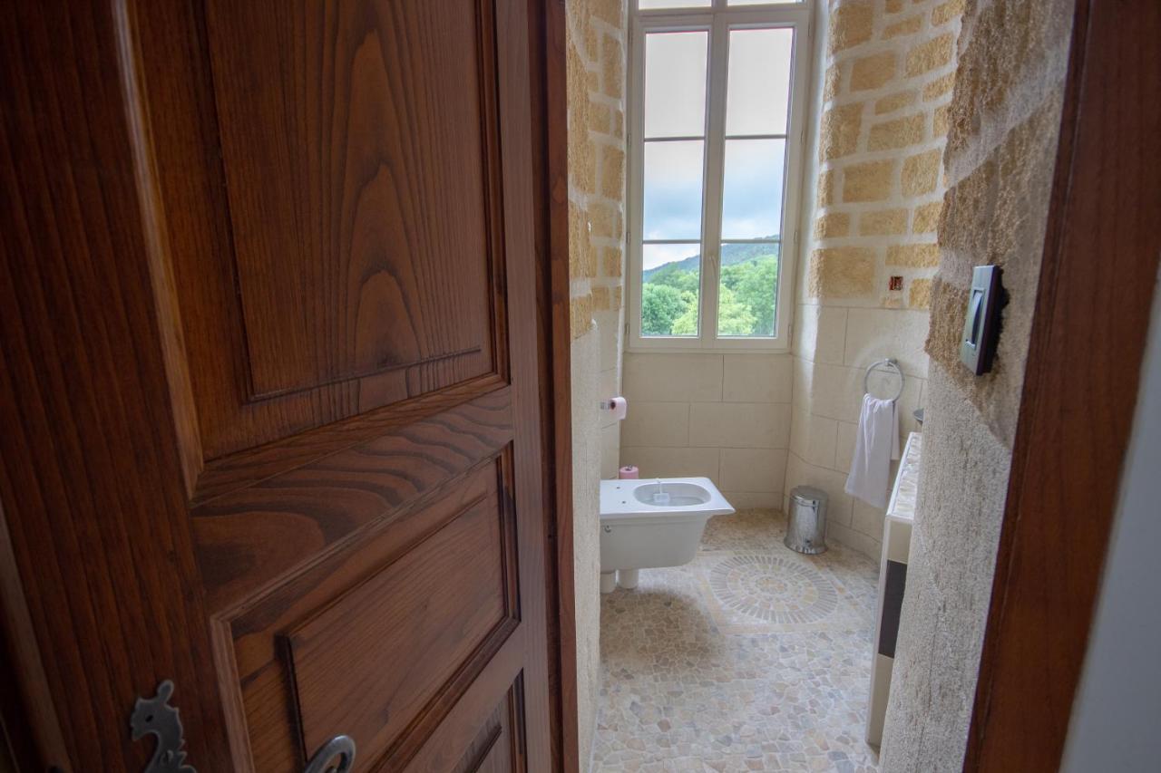 Chateau De Druon Sevignacq-Meyracq Ngoại thất bức ảnh